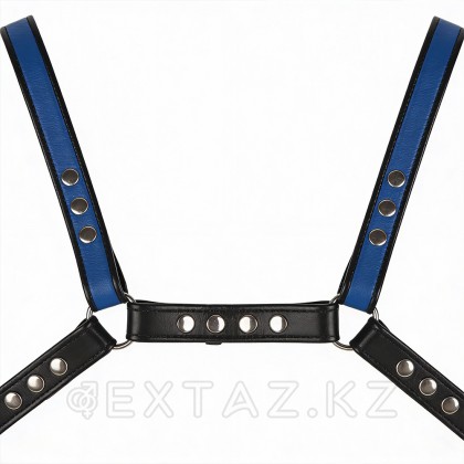 Портупея порт арналған қара-көк от sex shop Extaz