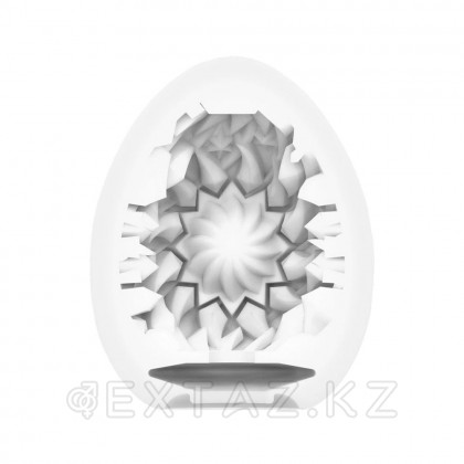 Мастурбатор - жұмыртқа Tenga жұмыртқа Shiny II от sex shop Extaz фото 3