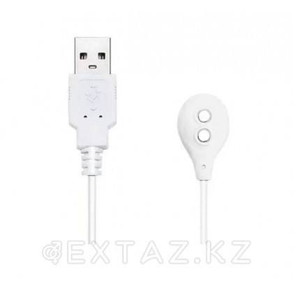 Кабель для зарядки Lovense MAX2 от sex shop Extaz