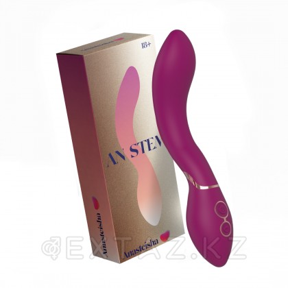 G аймағына арналған талғампаз AN STEM массажері от sex shop Extaz фото 2