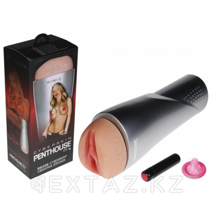 Мастурбатор-вагина Topco Sales Penthause Nicole Aniston от sex shop Extaz фото 4