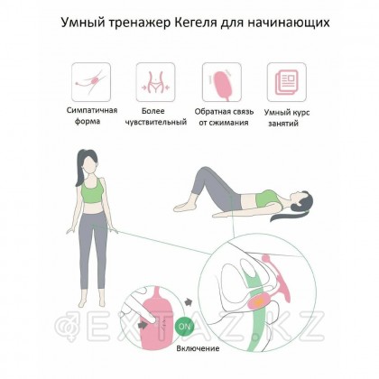 Тренажер Кегеля Magic Motion Kegel Coach, розовый - extaz.kz фото 12 Magic Motion Kegel жаттықтырушысы қызғылт от sex shop Extaz фото 12