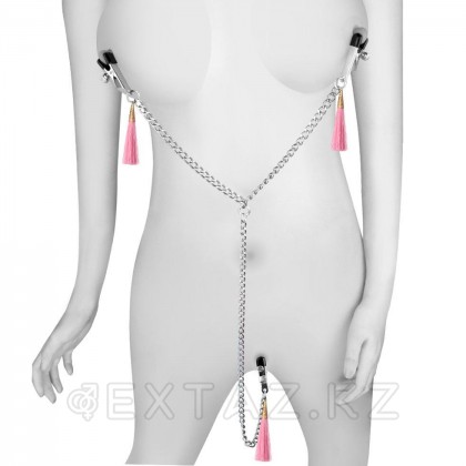 Емізік қысқыштары және щеткалары бар клитор от sex shop Extaz фото 2