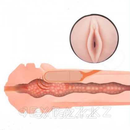 Мастурбатор премиум класса на присоске - Spider (с вибрацией) от sex shop Extaz фото 7