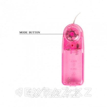 Виброяйцо двойное от sex shop Extaz фото 4