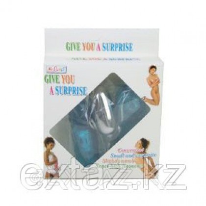 Виброяйцо двойное от sex shop Extaz фото 5