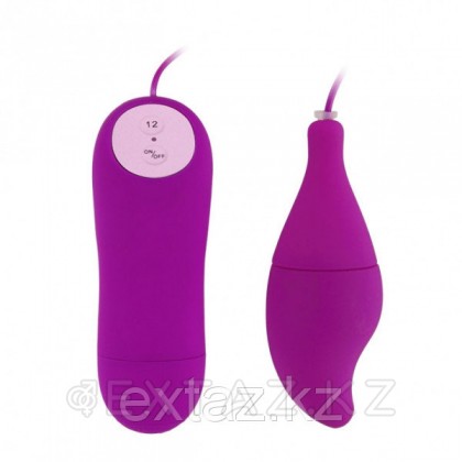 Қашықтан басқару пульті бар діріл стимуляторы (8,3*3) от sex shop Extaz