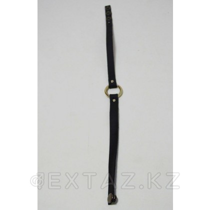 Чокер черный, кожаный с кольцом от sex shop Extaz фото 2