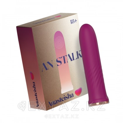 Anasteisha ұсынған AN Stalk талғампаз миниатюралық діріл массажы от sex shop Extaz фото 2