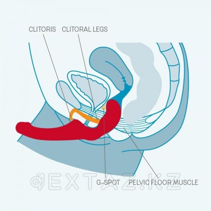 Страпон SHARE безремневой от Fun Factory (черный) от sex shop Extaz фото 4