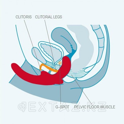 Страпон SHAREVIBE фиолетовый от Fun factory от sex shop Extaz фото 5