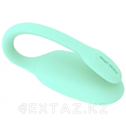 Magic Motion Flamingo Smart вибраторы от sex shop Extaz