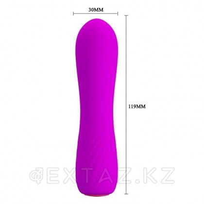 Мини вибратор перезаряжаемый Beau (11,9 см.) от sex shop Extaz фото 8