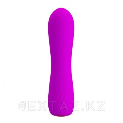Мини вибратор перезаряжаемый Beau (11,9 см.) от sex shop Extaz фото 4