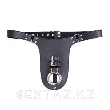Пояс верности Fetish, бандаж для пениса от sex shop Extaz