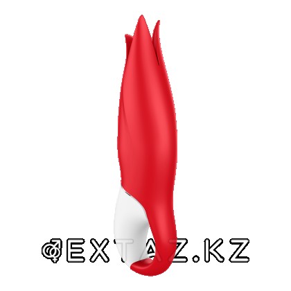 Satisfyer Vibes Power Flower діріл массажы, 18,5 см от sex shop Extaz фото 6