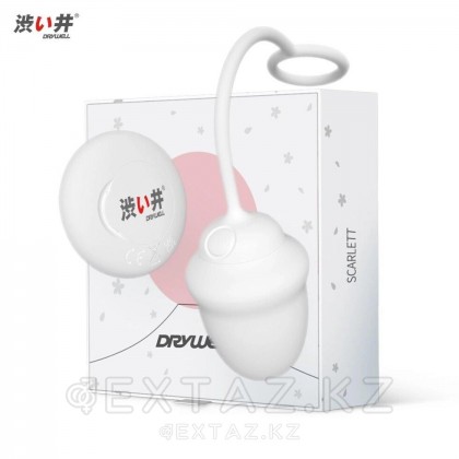 Қашықтан басқару пультіндегі DryWell Scarlett діріл жұмыртқасы от sex shop Extaz фото 2