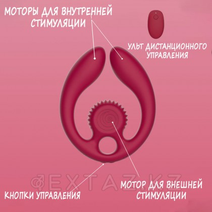 Svibe Snail gizi duo Бургундия жұп стимуляторы от sex shop Extaz фото 3