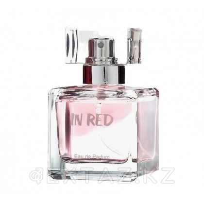 Natural Instinct Lady Lux 