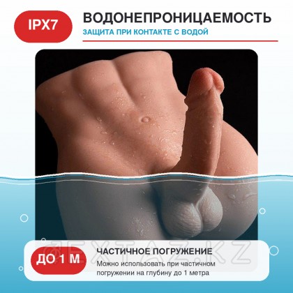 Stallion фаллусымен шынайы ерлер денесі от sex shop Extaz фото 8
