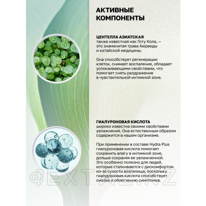 Intt Hydra Plus-гиалурон және азиялық центелла (100 мл.) от sex shop Extaz фото 4