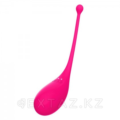 Adrien Lastic ұсынған Palpitation фуксия діріл жұмыртқасы (қолданбамен синхрондау) от sex shop Extaz фото 9