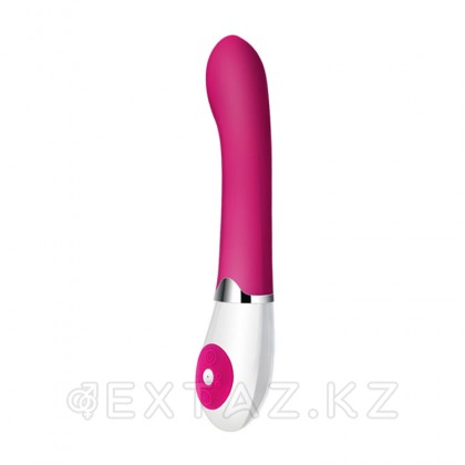 Даниэль вибраторы (19,5×3,2 см) от sex shop Extaz фото 4