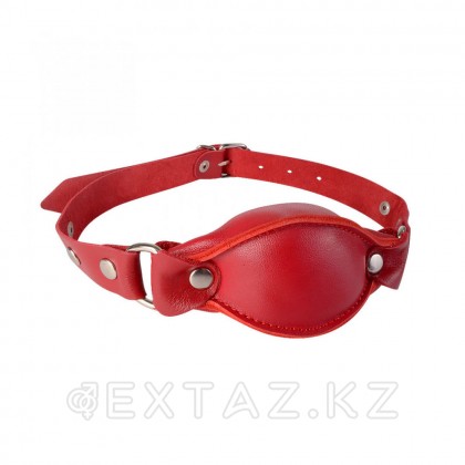 Гаг-басылған, қызыл от sex shop Extaz