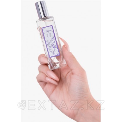 Sexy life sublime феромондары бар әйелдер парфюмерлік суы (30 мл) от sex shop Extaz фото 4