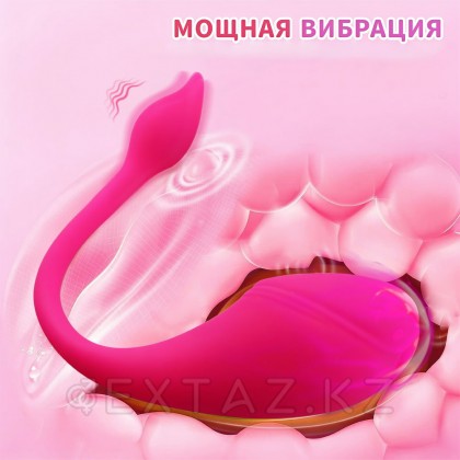 Sharp tail қосымшасы арқылы басқарылатын діріл от sex shop Extaz фото 8