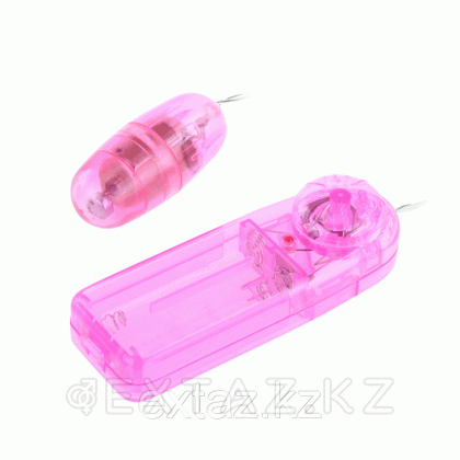 Виброяйцо на удлинителе от sex shop Extaz фото 4