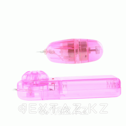 Виброяйцо на удлинителе от sex shop Extaz фото 5