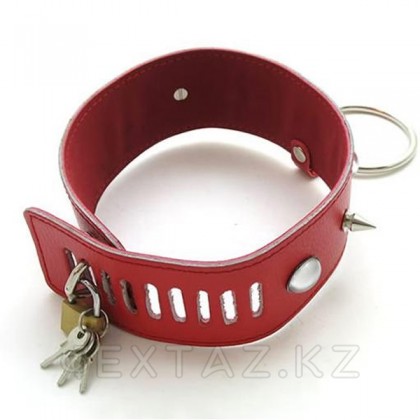 Ошейник красный с камнями от sex shop Extaz фото 2