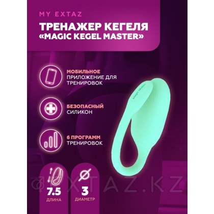 Magic Motion Flamingo Smart вибраторы от sex shop Extaz фото 6