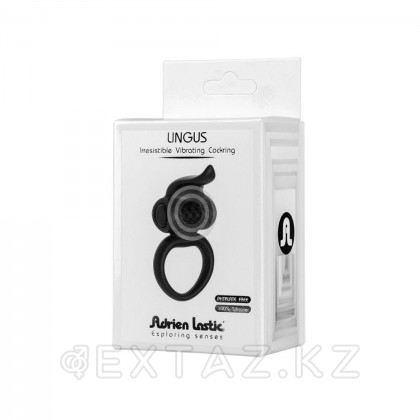 Adrien lastic ұсынған қара Lingus эрекциялық діріл сақинасы от sex shop Extaz фото 6