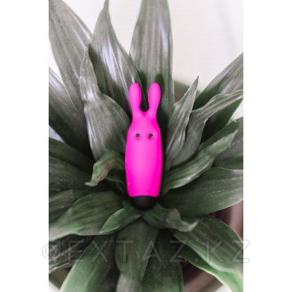 Қалта қоянының дірілдеткіші Lastic pocket vibe Rabbit Adrien Lastic от sex shop Extaz фото 3