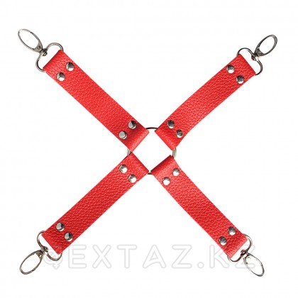 БДСМ набор 10 предметов, красный от sex shop Extaz фото 8
