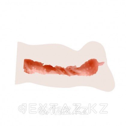 Мастурбатор 