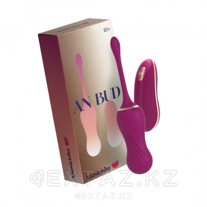 Қынаптық виброшарики AN Bud басқару пультімен бастап Anasteisha от sex shop Extaz фото 6