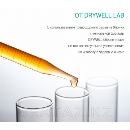 DryWell 220 мл гиалурон қышқылымен ылғалдандыратын майлау. от sex shop Extaz фото 2