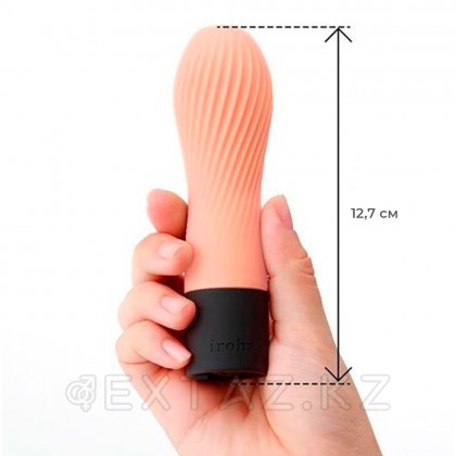 IROHA ZEN Hanacha шабдалы вибраторы от sex shop Extaz фото 4