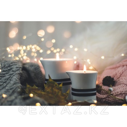 PETITS JOUJOUX Массажная свеча ROMANTIC GETAWAY имбирь 120 гр. от sex shop Extaz фото 5