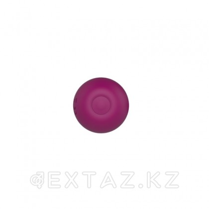 Перезаряжаемая анальная пробка AN Calyx с пультом управления от sex shop Extaz фото 3