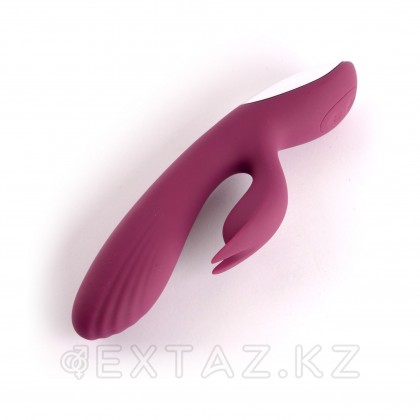 Вибратор с клиторальной стимуляцией Desire Luxury Duo от sex shop Extaz фото 6