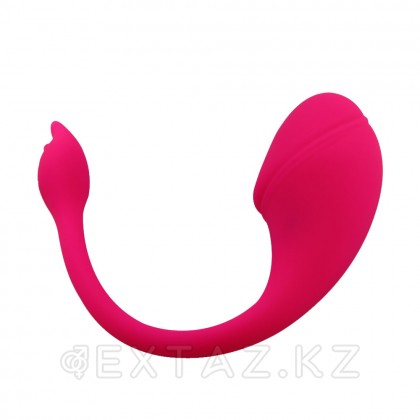 Sharp tail қосымшасы арқылы басқарылатын діріл от sex shop Extaz фото 2