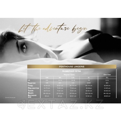 Қара пентхаус бодисеткасы от sex shop Extaz фото 3