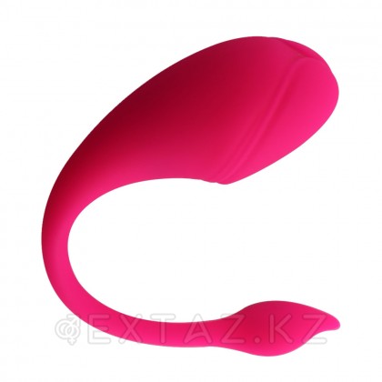 Sharp tail қосымшасы арқылы басқарылатын діріл от sex shop Extaz