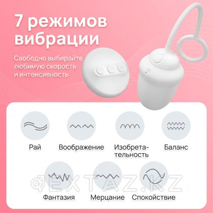 Қашықтан басқару пультіндегі DryWell Scarlett діріл жұмыртқасы от sex shop Extaz фото 6