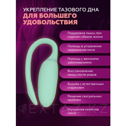 Magic Motion Flamingo Smart вибраторы от sex shop Extaz фото 4