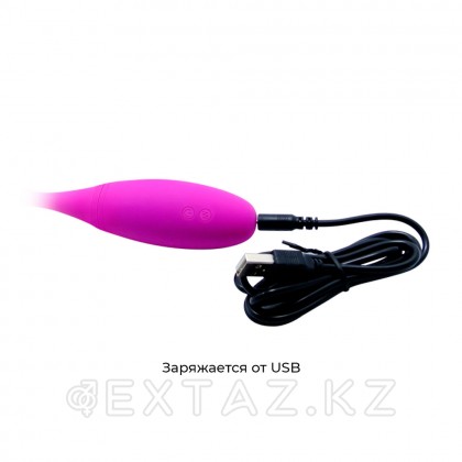 Pretty love екі жақты қайта зарядталатын вибратор от sex shop Extaz фото 7